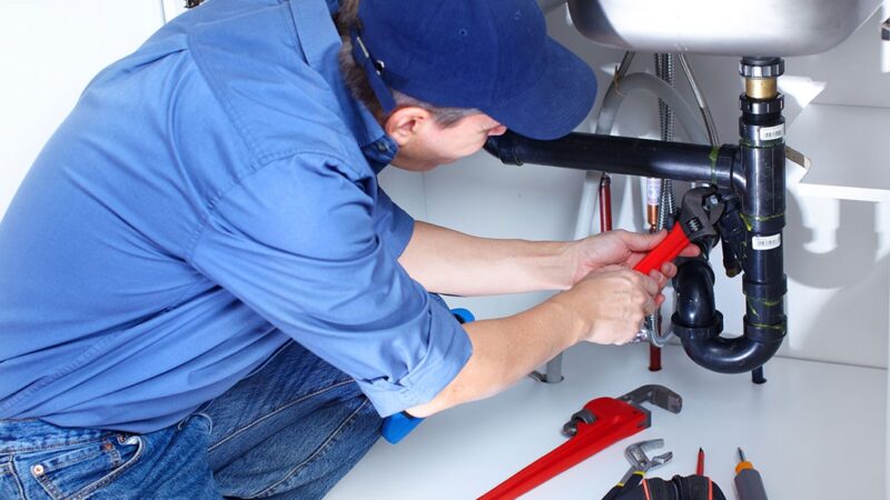 Best Plumbers in Bhabua